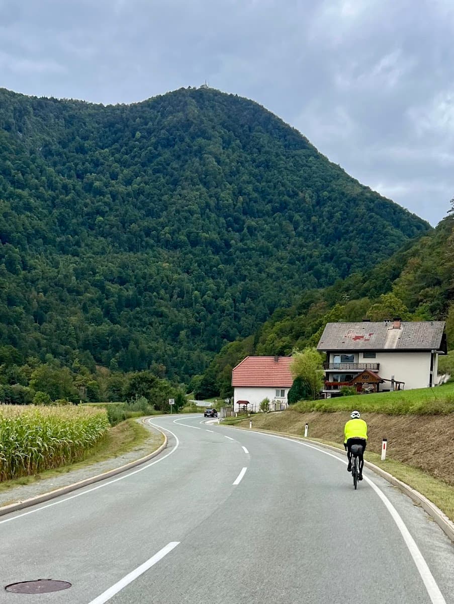 Cyclist in neon jacket riding on winding road past cornfield and forested mountain.
