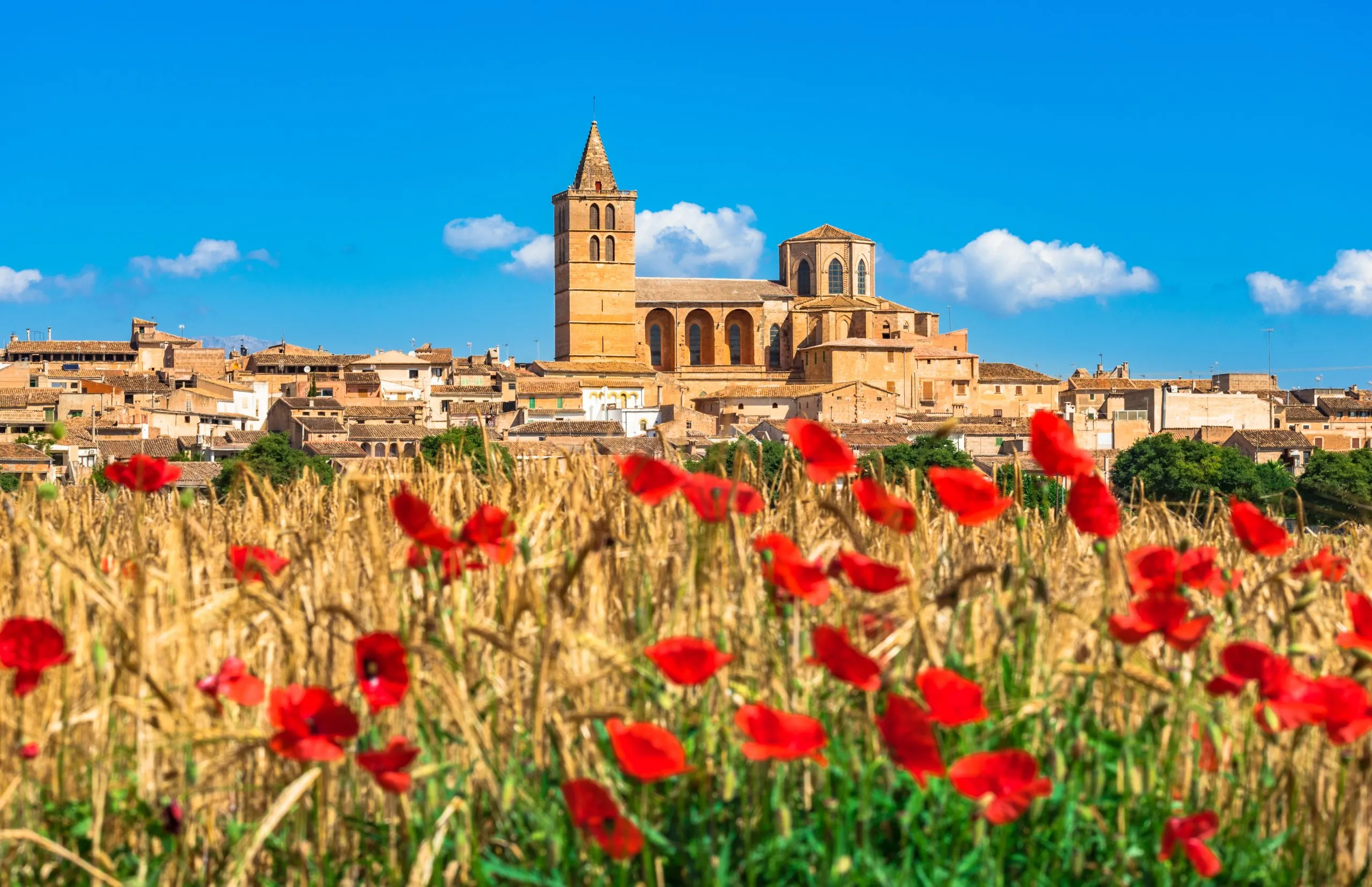 Spanien Mallorca, mediterranes Dorf Sineu mit Mohnblumen Feld Landschaft
